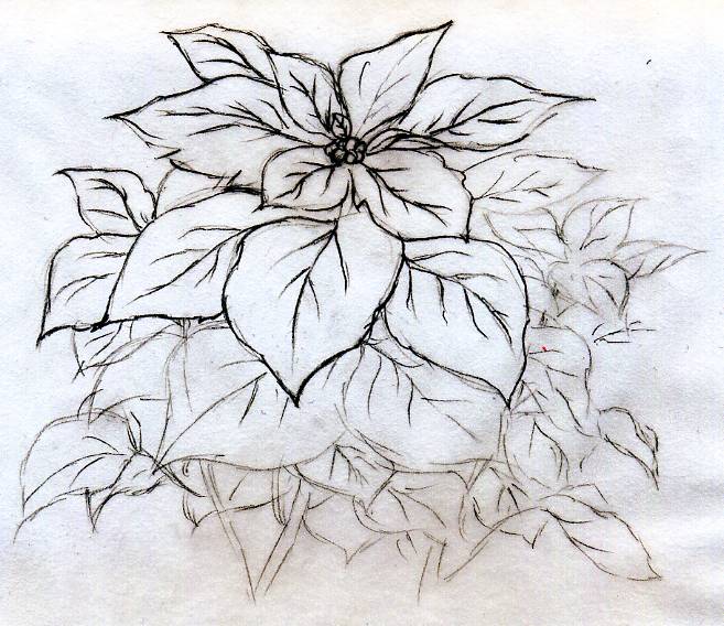sketched out flowers
