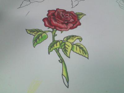 A tattoo artists drawing of a rose by Meatloaf Troy MO USA 