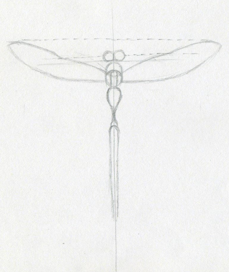 Make a simple sketch of the front wings