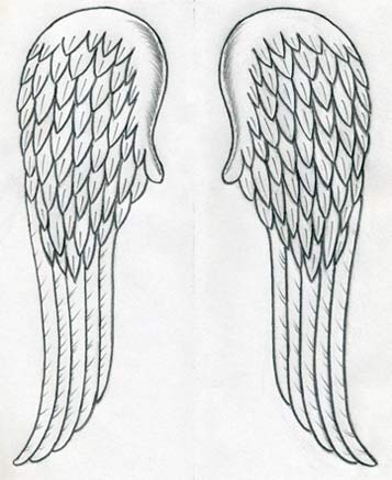 http://www.easy-drawings-and-sketches.com/images/draw-angel-wings10.jpg