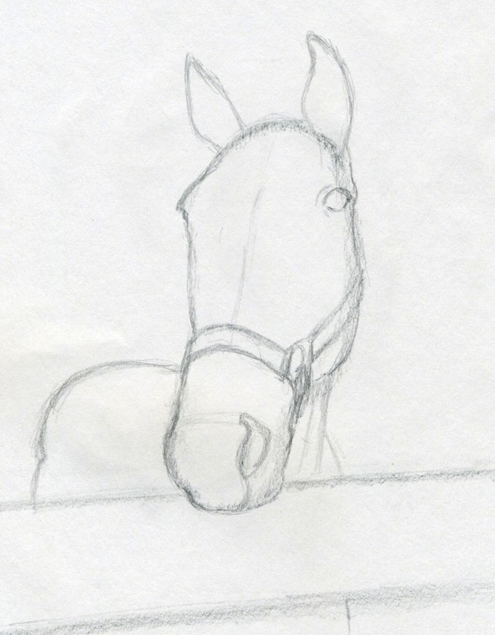 Sketch the rest of the visible part of horse's body. Outline 