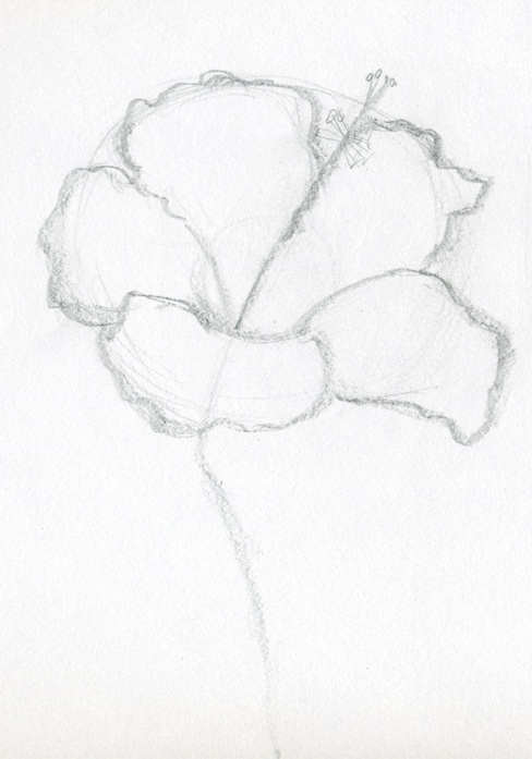 black and white flowers drawings. lack and white drawings