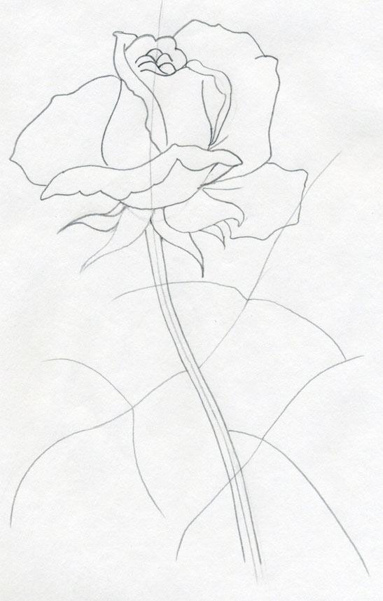 Pictures Of Roses To Draw. How To Draw a Rose - very easy