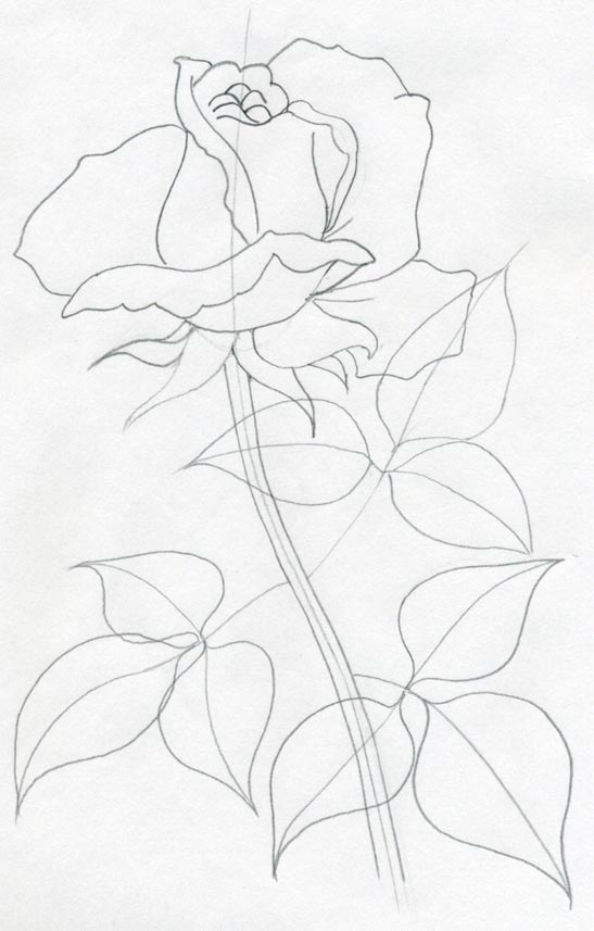 rose flower sketch. draw a rose that will look