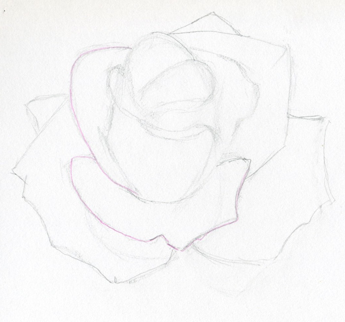 coloring pages of flowers and roses. flowers coloring pages title=