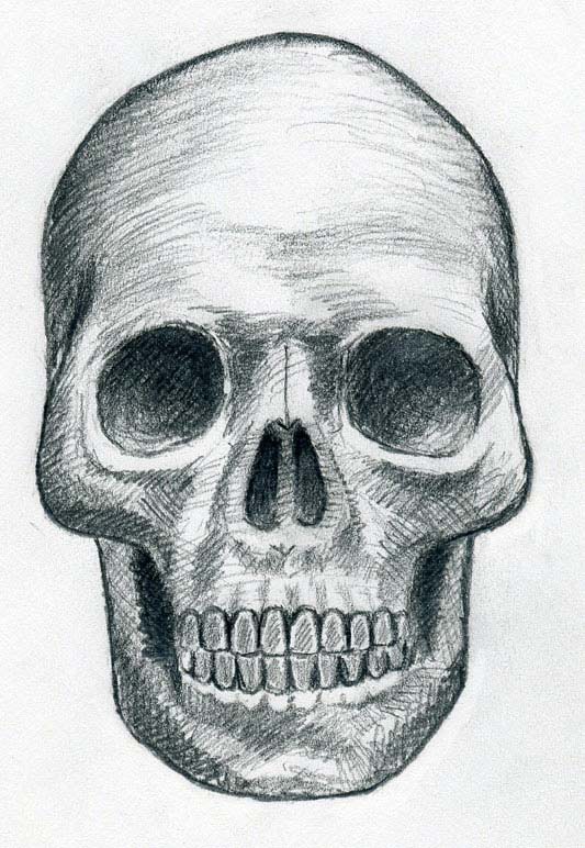 drawn skulls