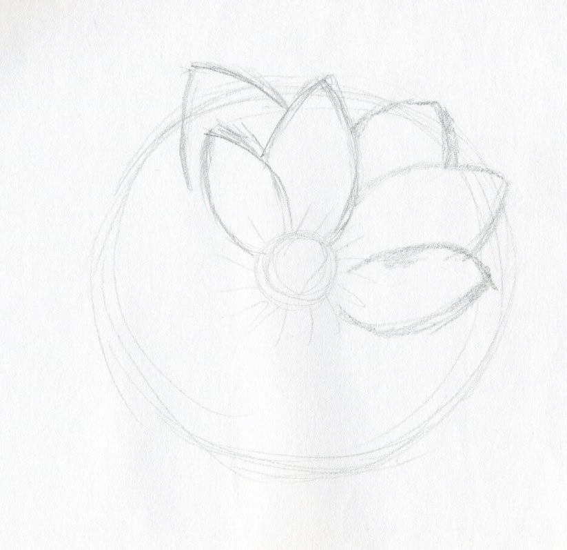 Inside that circle draw small one That is the stigma of lotus flower