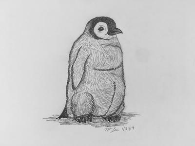 Featured image of post Easy Penguin Scenery Drawing : Penguins are birds that use use their wings to swim through the water rather than flying through the air.