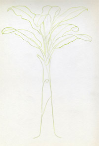 Banana plant. Ink black and white drawing Stock Photo - Alamy-saigonsouth.com.vn