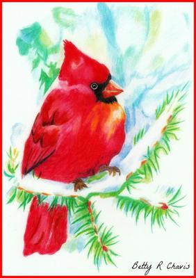 colored pencil drawing of a red bird