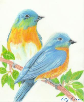 colored pencil drawing of blue birds