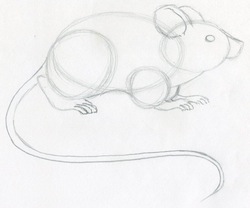 Simple Cartoon Mouse Clip Art at Clker.com - vector clip art online,  royalty free & public domain