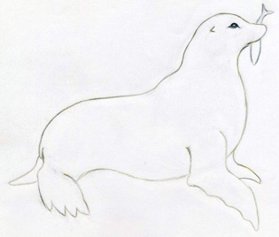 Featured image of post Cute Seal Drawing Realistic See more ideas about cute seals cute animals animals