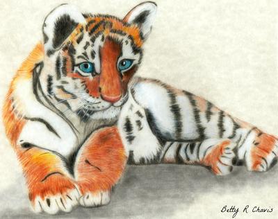 First colored pencil drawing of tiger cub