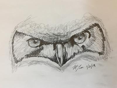 First Drawing of Owl Eyes