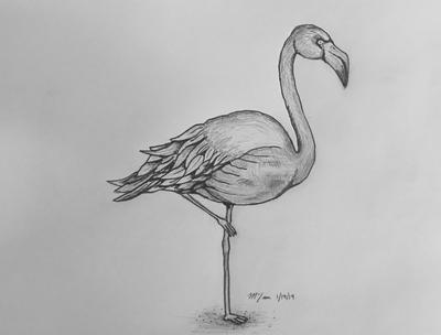 Flamingo Line Drawing Images – Browse 10,188 Stock Photos, Vectors, and  Video | Adobe Stock