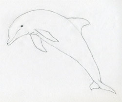 Dolphin Drawing Tutorial PDF by Tim's Printables | TPT