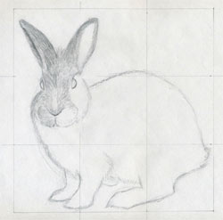 How to Draw a Bunny | Easy Step by Step Bunny Drawing Tutorial-nextbuild.com.vn