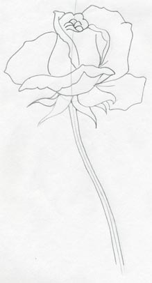 91 New Ideas Http wwweasy drawings and sketchescom draw a rosehtml for Kids