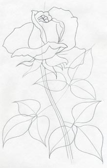 How To Draw A Rose In Few Simple Steps Tudor rose easy to draw. how to draw a rose in few simple steps