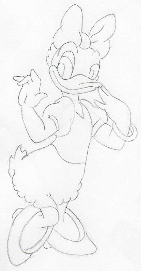 How to draw a Daisy duck Step by Step