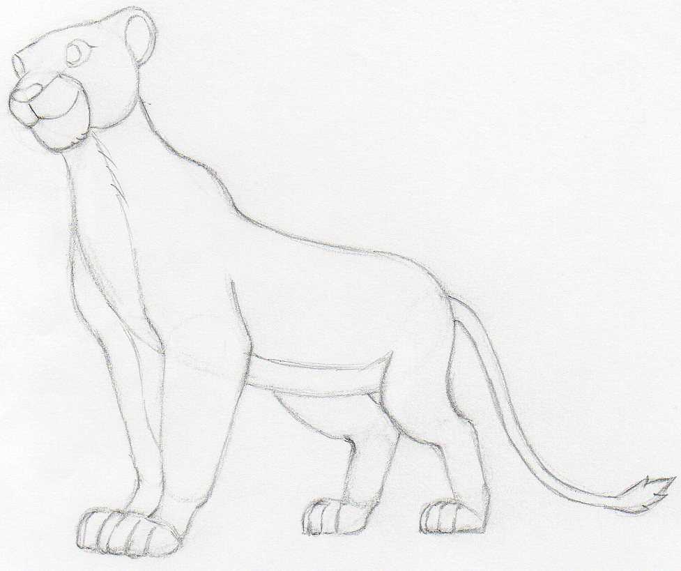 Download How To Draw Nala from Lion King.