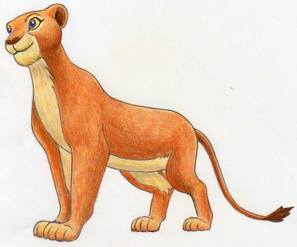 How To Draw Nala From Lion King