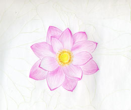 Lotus flower in colored pencils : r/drawing-saigonsouth.com.vn