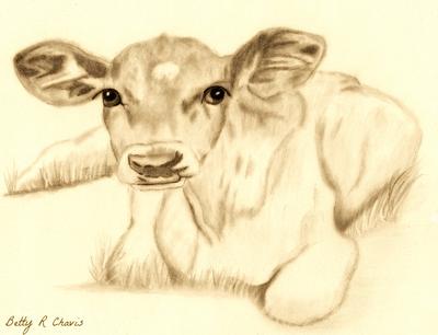 Free Realistic Baby Calf Coloring Page | Coloring Page Printables | Kidadl