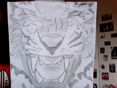 drawing of a tiger face Archives - Craft-Mart