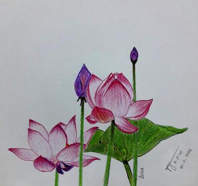 Best For Flower Bouquet Drawing For Kids, Single Flower Drawing HD  wallpaper | Pxfuel